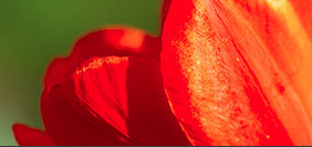 在线短信网页版免费版